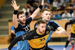 Skvělý start do semifinále. Plzeň přehrála Zubří