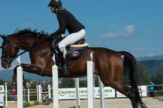 Region se baví! Co nás čeká poslední dubnový víkend?