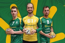 Házenkáři Plzně odehrají zápas ve speciálních dresech. Výtěžek z...