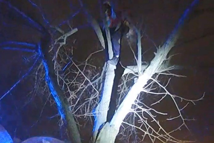 Muž se ukrýval v korunách stromů. Bál se povodní