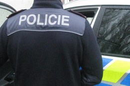 Za mávání nacistickou vlajkou na Slavnostech svobody chce žalobce...