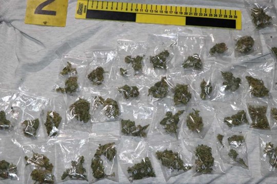 Past sklapla. Dva dealeři drog skončili v policejních poutech