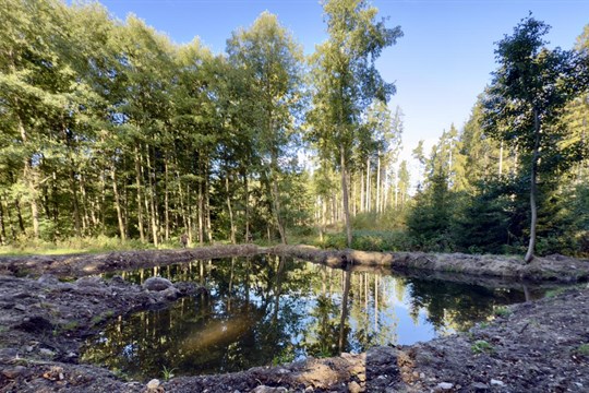 Voda se vrací do krajiny. V lázeňských lesích vznikly čtyři nové tůně