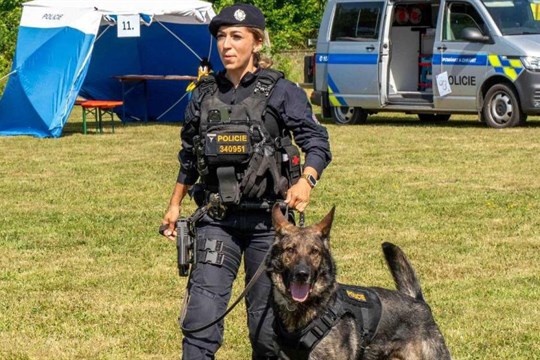 Pes Kaly se stal hrdinou noci, vypátral ztracenou seniorku v lese v Chebu