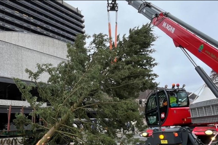 Karlovy Vary mění vánoční strom. Původní má polámané větve