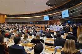 Cheb převzal titul Evropské město sportu 2026