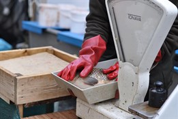 Karlovy Vary chystají poslední letošní farmářské trhy. Nabídnou...