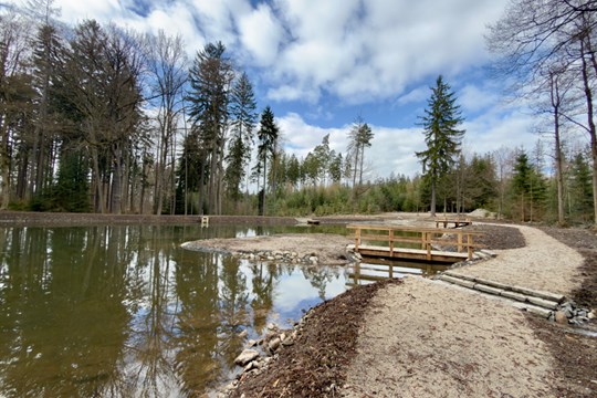 Ovčí rybník je po rekonstrukci: Karlovy Vary mají novou oázu s dřevěnými chodníčky a tůněmi