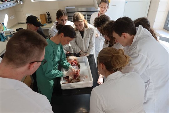 Když biologie ožije v praxi. Na Záchranné stanici živočichů v Plzni proběhla první výuková pitva