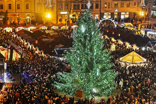 Na náměstí Republiky už září vánoční strom, je jím 14 metrů vysoký smrk