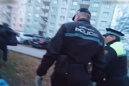 "Jménem zákona, stůjte!" Takhle vypadá policejní honička s...