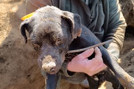 Aktualizováno: Drama se šťastným koncem. Hasiči zachránili život...