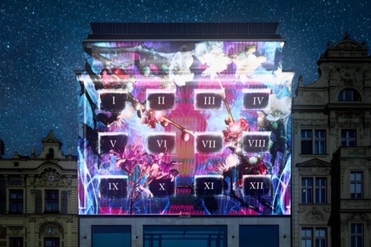 Novoroční ohňostroj v Plzni letos kvůli včelám nebude. Centrální obvod chystá náhradní program