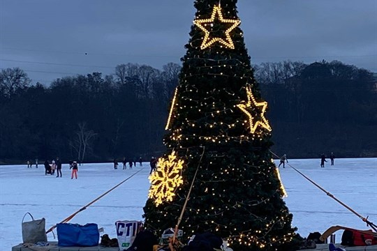 Borská přehrada se nechce rozloučit s Vánocemi. Stromek zůstává v ledovém sevření