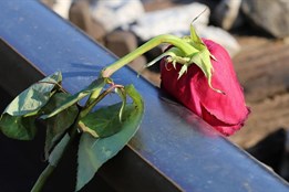 Smutné statistiky. Za posledních deset let ukončilo v Plzeňském...