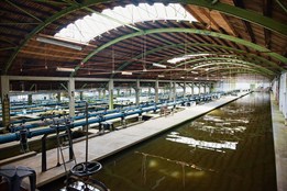 Plzeň opraví budovu Puech-Chabalovy filtrace vody, technický unikát...