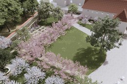 Zelená oáza v centru města: Kapucínské zahrady čeká velká proměna 