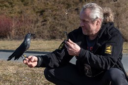 Záchranářské krimi: Slepá kavka „Kevina“ se vrátila domů a orlice z...