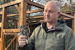 Naděje pro sýčka. Na Nýřansku vyrostla nová voliéra, která ho má zachránit