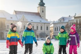 Jarní prázdniny jako recept na chřipku? Na Klatovsku a Rokycansku...